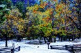 /album/yosemite-national-park1/yosemite-nikon-081-2-3-fused-jpg1/